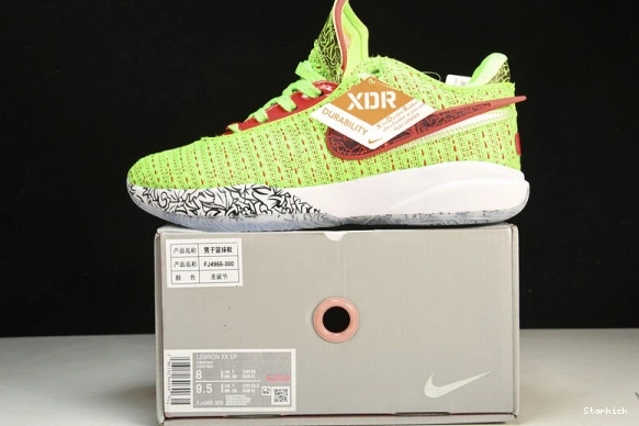 Stocking Stuffer  LeBron 20  FJ4955-300 Nike 0318